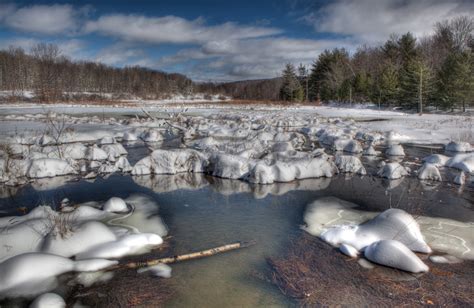 Snow at the Preserve - Daily Photo: Mar 09 2011 - Binghamton University