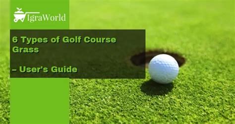 6 Types of Golf Course Grass – User’s Guide – Home Club Socks