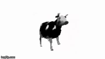 Idk what to post rn so here's this polish dancing cow. - Imgflip