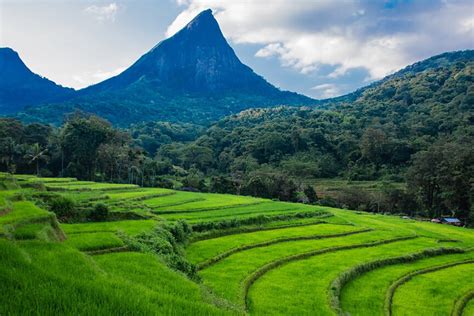 Meemure Village | Attractions in Sri lanka