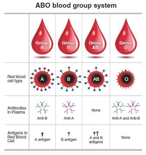 [Weekender] What blood types are really about