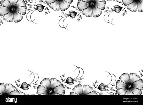 vintage floral border in pencil drawing flower decorations, black and ...