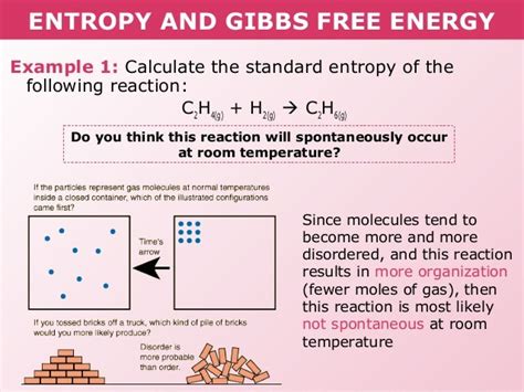 Tang 05 entropy and gibb's free energy