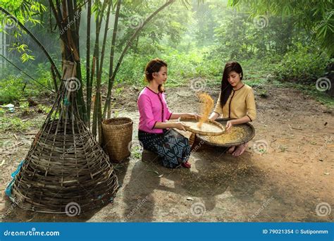 Women are Winnowing Rice for Sorting Rice Stock Photo - Image of girl, lifestyle: 79021354