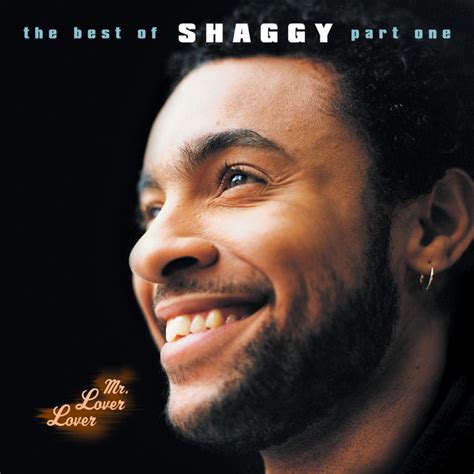 Boombastic - song and lyrics by Shaggy | Spotify