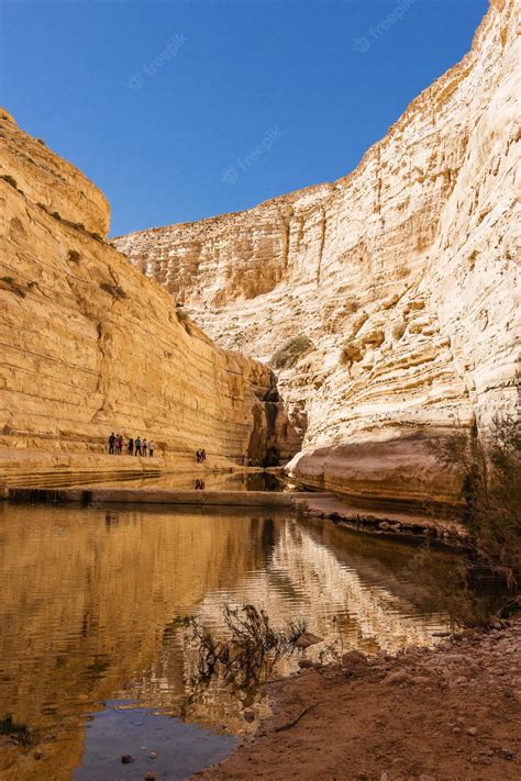 Premium Photo | Source in the negev desert