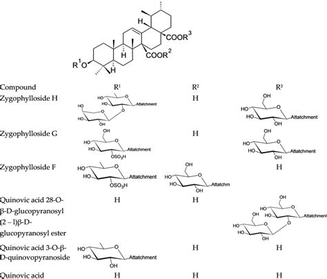 Chemical structures of the main identified saponins in the saponin ...