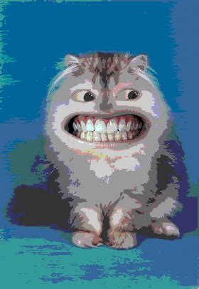 laughing,,,cat