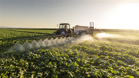 Food and farming could stymie climate efforts, researchers say ...