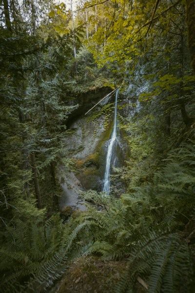 Three Waterfalls in Olympic National Park