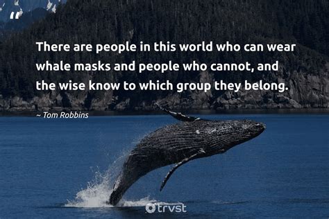 35 Whale Quotes To Help You Be Calm And Hopeful