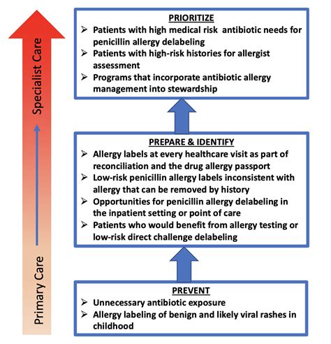 Addressing Beta-lactam Allergy: A Time for action - Authorea