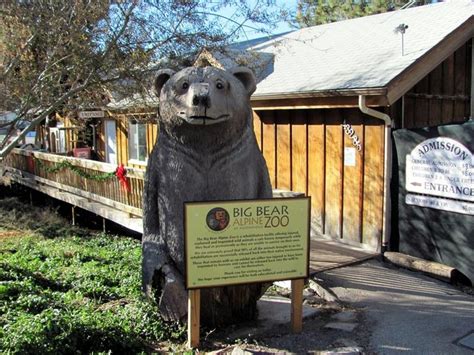 Big Bear Alpine Zoo Big Bear | Big bear zoo, Big bear, Big bear vacation