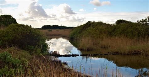 ZANDVLEI NATURE RESERVE: BEFORE THE FLATS WERE FLAT - The Fynbos Guy