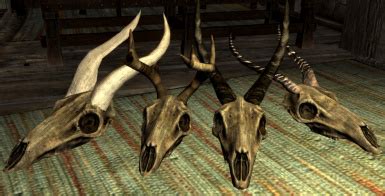 Bones at Skyrim Nexus - Mods and Community