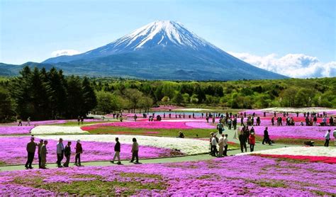 Bus Travel: The Hakone National Park and The Hakone Shrines