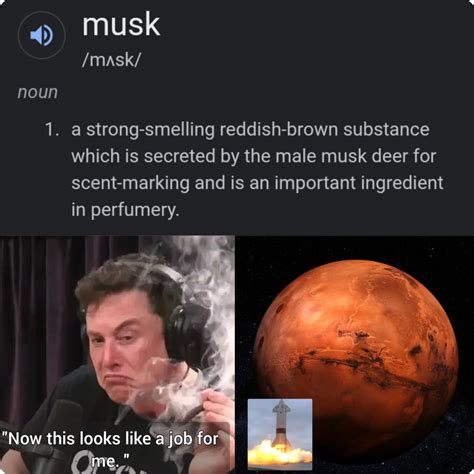 Musk for president of Mars maybe? - Meme by JoeSayz :) Memedroid