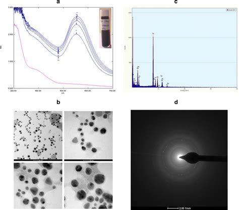 Characterization of gold nanoparticles biosynthesized from... | Download Scientific Diagram