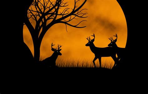 Wallpaper the moon, deer, picture images for desktop, section разное ...