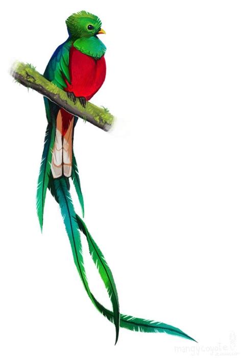 Free Cute Quetzal Cliparts, Download Free Cute Quetzal Cliparts png images, Free ClipArts on ...