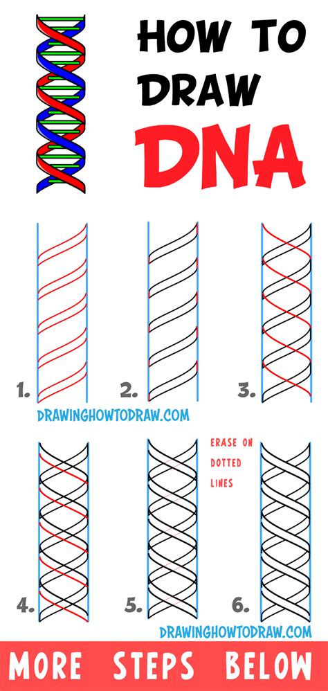 How to Draw DNA Double Helix Structure – Easy Step by Step Drawing Tutorial – How to Draw Step ...