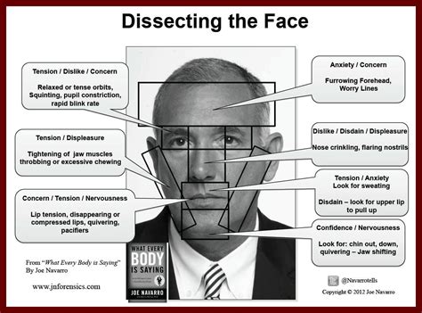 Deciphering The Face | Reading body language, Nonverbal communication ...