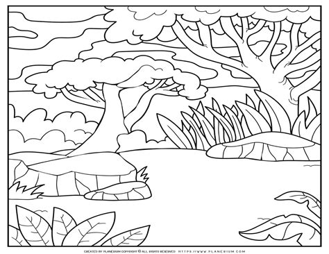 Coloring Pages Of A Forest Coloring Pages