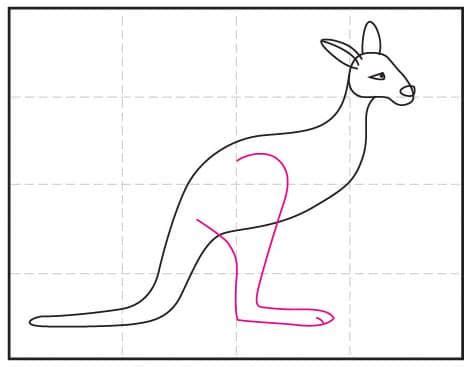 Easy How to Draw a Kangaroo Tutorial and Kangaroo Coloring Page | Kangaroo drawing, Kangaroo art ...