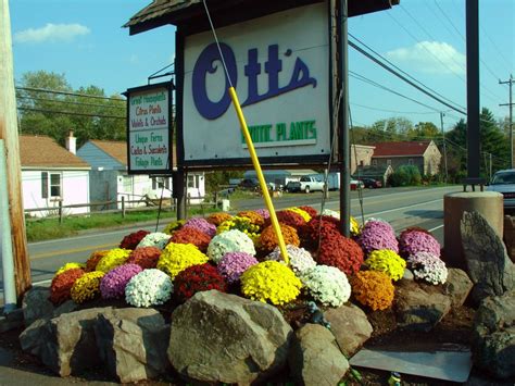 Ott's Exotic Plants | Schwenksville PA