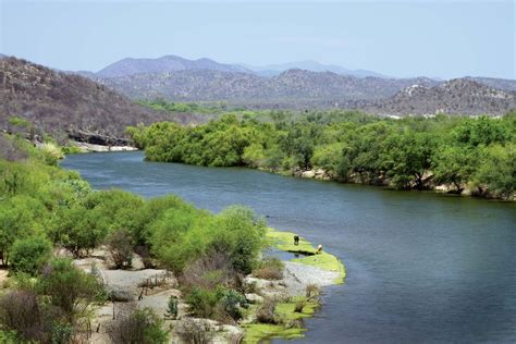 Yaqui River | Sonora, Mexico, Wildlife | Britannica