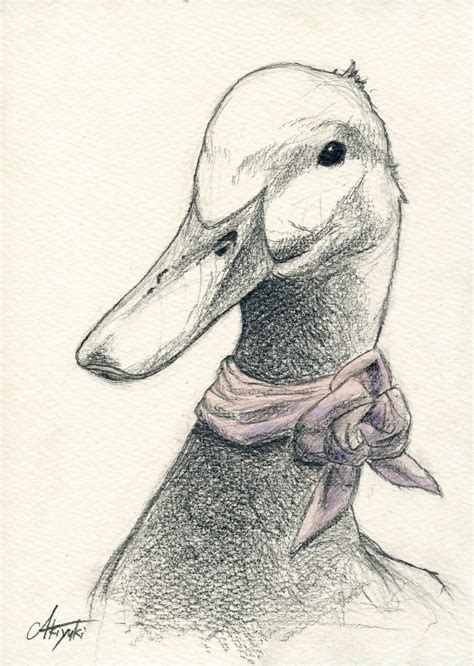 Duck Head Drawing at GetDrawings | Free download