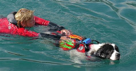 Menton Daily Photo: The Sea Rescue Dogs