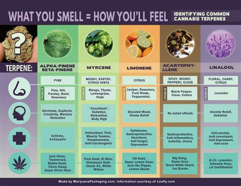 Chart of terpenes and their identifying scents : vaporents