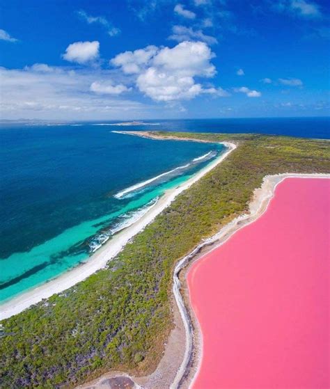 Pink Lake in Australia 🇦🇺 | Western australia travel, Australia ...