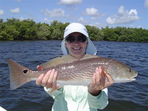 Guided Fishing Trips, Indian River Lagoon, Vero Beach FL