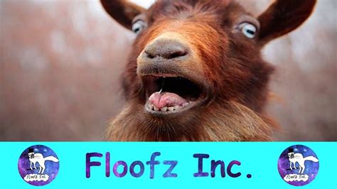 The Most Hysterical Screaming and Fainting Goats! - Your Pets Magazine