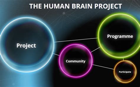 The Human Brain Project (HBP) | Fit for Health 2.0