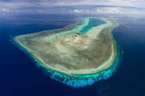 Diving in Shark Heaven: Tubbataha Reefs in the Philippines - DIVE Magazine