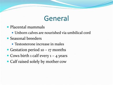 PPT - Whale Mating and Reproduction PowerPoint Presentation, free ...