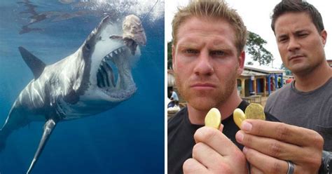 15 Discovery Channel Shows That Are Too Fake To Take Seriously