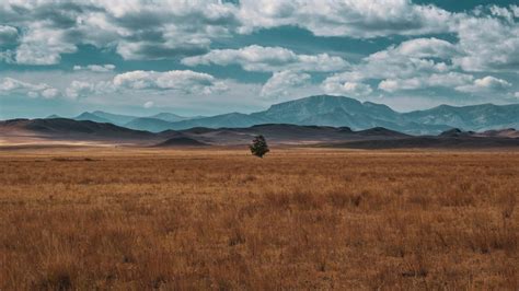 Bozeman to Glacier National Park: A Roadtrip Itinerary - Glacier Highline