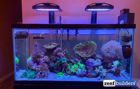 Build Thread - Minimum Cost, Maximum Enjoyment Reefer 250 Build ...