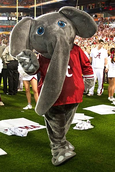 Big Al #Alabama #RollTide #mascot | Tailgating | Pinterest