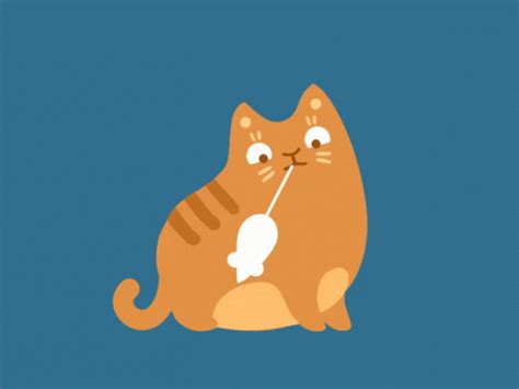 Cats Wiiiiiiiiii GIF - Cats Wiiiiiiiiii Cat - Discover & Share GIFs