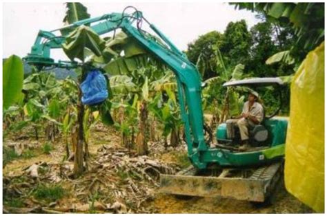 Agronomy | Free Full-Text | Mechanized Technology Research and Equipment Application of Banana ...