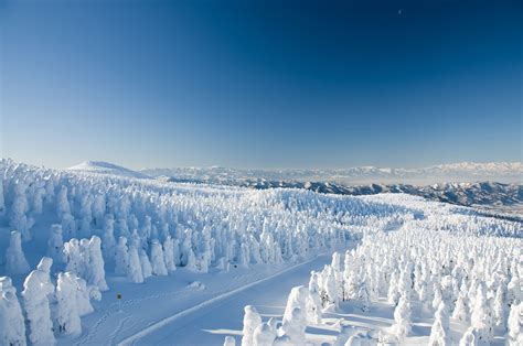 Yamagata Zao Onsen Ski Resort wallpaper | nature and landscape ...