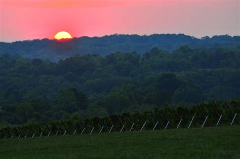 Creekbend Vineyard | Oliver Winery Ellettsville, IN | Angie | Flickr