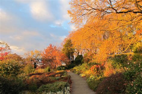 See Fall Foliage in New York for a Picturesque Autumn in 2019