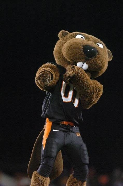 21 Benny Beaver ideas | oregon state, beaver, mascot