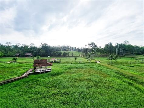 Taman Botani Shah Alam | Beriadah Di Persekitaran Yang Hijau